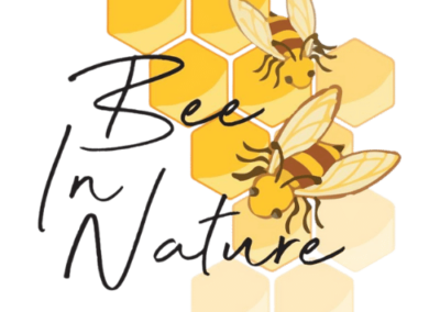 Bee In Nature